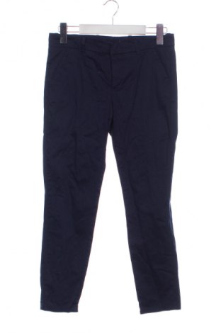 Damenhose Mango, Größe S, Farbe Blau, Preis € 17,00
