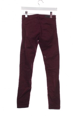 Damenhose Stradivarius, Größe S, Farbe Rot, Preis € 9,99