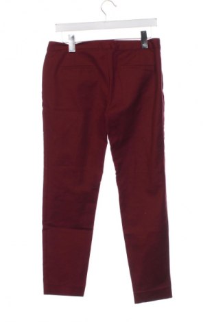 Damenhose Zara, Größe L, Farbe Rot, Preis 13,80 €