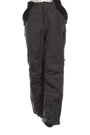 Damenhose für Wintersport Unbranded, Größe M, Farbe Grau, Preis € 22,99