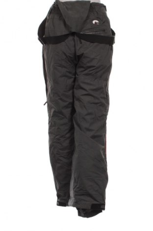 Damenhose für Wintersport Unbranded, Größe M, Farbe Grau, Preis € 22,99