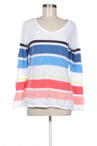 Γυναικείο πουλόβερ Blue Motion, Μέγεθος M, Χρώμα Πολύχρωμο, Τιμή 6,99 €