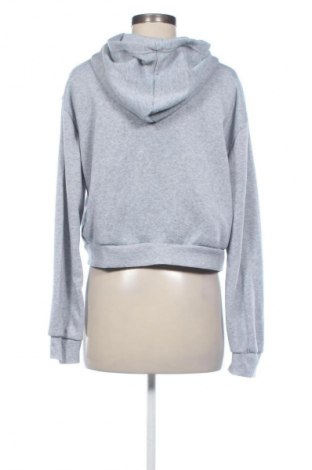 Damen Sweatshirt Unbranded, Größe L, Farbe Grau, Preis 19,95 €
