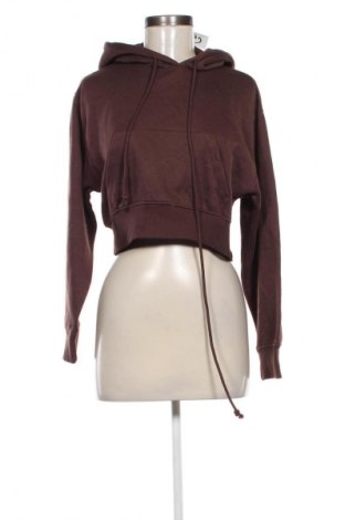 Damen Sweatshirt Zara, Größe S, Farbe Braun, Preis € 13,99