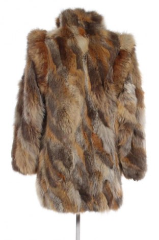 Damen Ledermantel C&A, Größe M, Farbe Mehrfarbig, Preis € 104,99