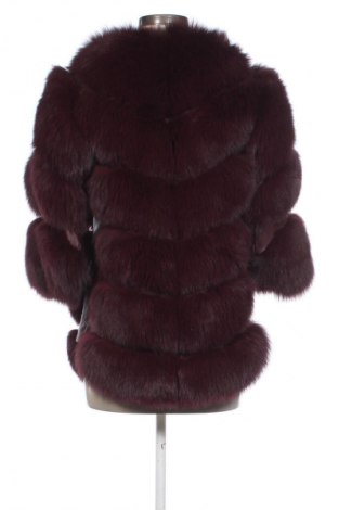 Női bőrdzseki Roma, Méret S, Szín Piros, Ár 19 400 Ft