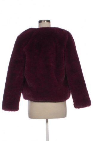 Damenmantel Tally Weijl, Größe S, Farbe Lila, Preis € 37,99