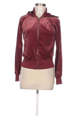 Damska bluza sportowa PUMA, Rozmiar S, Kolor Popielaty róż, Cena 101,99 zł