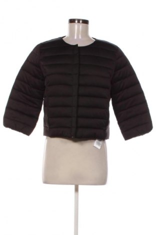 Damenjacke Elisabetta Franchi, Größe S, Farbe Schwarz, Preis 104,77 €