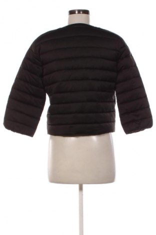 Damenjacke Elisabetta Franchi, Größe S, Farbe Schwarz, Preis 104,77 €