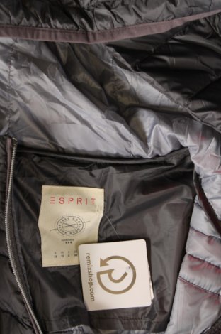 Női dzseki Esprit, Méret XS, Szín Szürke, Ár 5 129 Ft