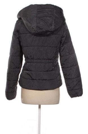 Damenjacke Laura Torelli, Größe S, Farbe Grau, Preis € 23,99