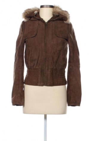 Damenjacke Mango, Größe S, Farbe Braun, Preis € 28,00