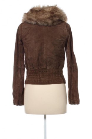 Damenjacke Mango, Größe S, Farbe Braun, Preis € 28,00