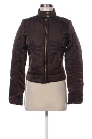 Damenjacke Miss Sixty, Größe S, Farbe Braun, Preis € 104,99