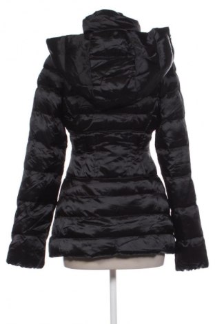 Damenjacke Pinko, Größe XS, Farbe Schwarz, Preis 167,99 €