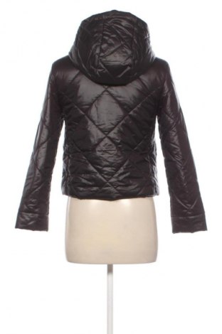 Damenjacke Sinsay, Größe XXS, Farbe Schwarz, Preis € 10,54