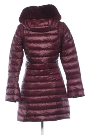 Γυναικείο μπουφάν Ted Baker, Μέγεθος M, Χρώμα Κόκκινο, Τιμή 89,48 €