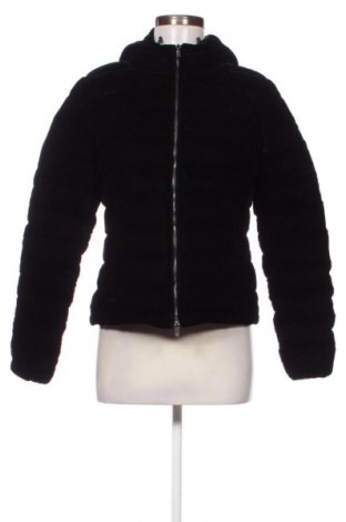 Damenjacke Ciesse Piumini, Größe M, Farbe Schwarz, Preis € 127,70