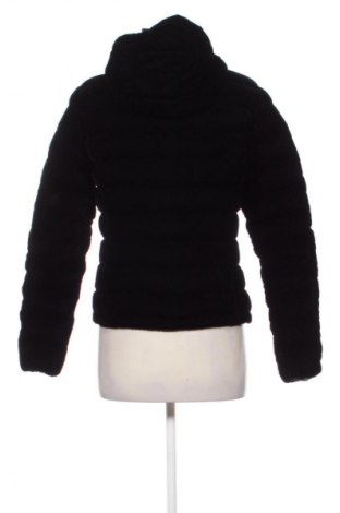 Damenjacke Ciesse Piumini, Größe M, Farbe Schwarz, Preis € 127,70