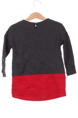 Gyerek blúz Brums, Méret 2-3m / 56-62 cm, Szín Sokszínű, Ár 1 929 Ft