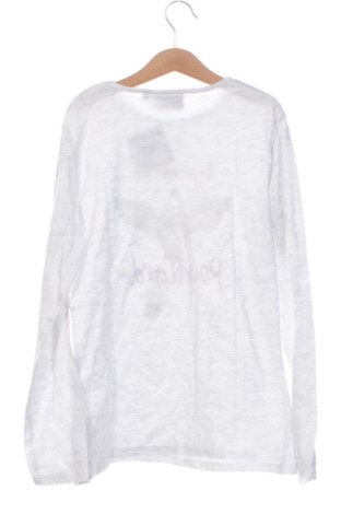 Detská blúzka  Harry Potter, Veľkosť 11-12y/ 152-158 cm, Farba Viacfarebná, Cena  11,70 €