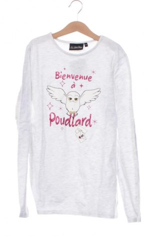 Detská blúzka  Harry Potter, Veľkosť 13-14y/ 164-168 cm, Farba Viacfarebná, Cena  11,70 €