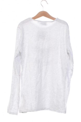 Detská blúzka  Harry Potter, Veľkosť 13-14y/ 164-168 cm, Farba Viacfarebná, Cena  11,70 €