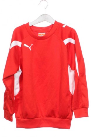 Kinder Shirt PUMA, Größe 6-7y/ 122-128 cm, Farbe Rot, Preis 14,99 €