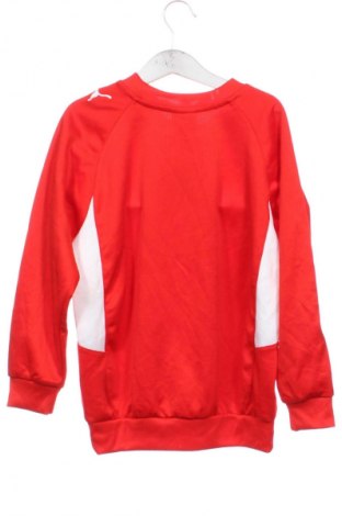 Kinder Shirt PUMA, Größe 6-7y/ 122-128 cm, Farbe Rot, Preis 14,99 €