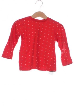 Детска блуза Pepco, Размер 18-24m/ 86-98 см, Цвят Многоцветен, Цена 12,00 лв.