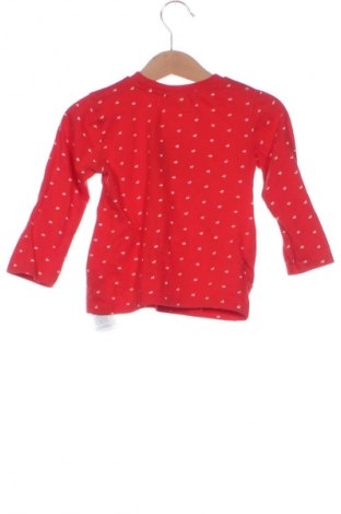 Детска блуза Pepco, Размер 18-24m/ 86-98 см, Цвят Многоцветен, Цена 12,00 лв.