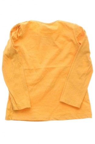 Dětská halenka  Pepco, Velikost 12-18m/ 80-86 cm, Barva Vícebarevné, Cena  163,00 Kč