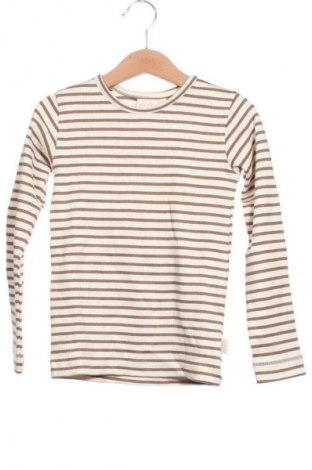 Bluză pentru copii Petit Piao, Mărime 3-4y/ 104-110 cm, Culoare Multicolor, Preț 145,99 Lei