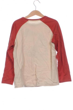 Kinder Shirt Sinsay, Größe 7-8y/ 128-134 cm, Farbe Mehrfarbig, Preis 5,83 €