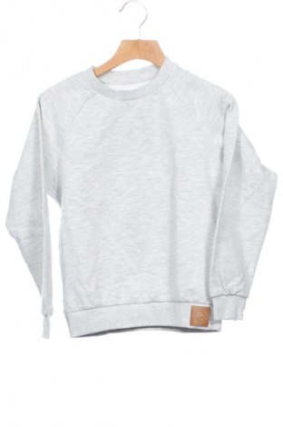Παιδική μπλούζα Sinsay, Μέγεθος 7-8y/ 128-134 εκ., Χρώμα Γκρί, Τιμή 6,14 €