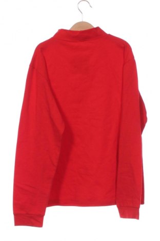 Детска блуза Unbranded, Размер 14-15y/ 168-170 см, Цвят Червен, Цена 7,99 лв.