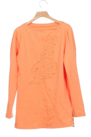 Детска блуза Unbranded, Размер 12-13y/ 158-164 см, Цвят Многоцветен, Цена 12,00 лв.