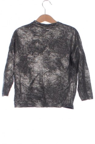 Kinder Shirt Zara, Größe 5-6y/ 116-122 cm, Farbe Mehrfarbig, Preis 8,99 €