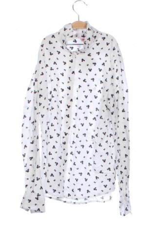 Dětská košile  Disney, Velikost 11-12y/ 152-158 cm, Barva Vícebarevné, Cena  152,00 Kč