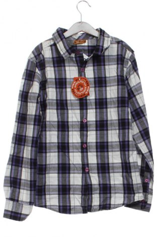 Детска риза Unbranded, Размер 12-13y/ 158-164 см, Цвят Многоцветен, Цена 12,99 лв.