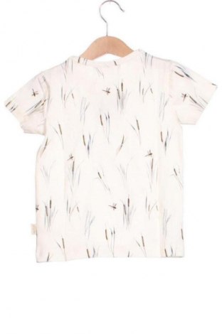 Kinder T-Shirt Petit Piao, Größe 18-24m/ 86-98 cm, Farbe Mehrfarbig, Preis € 30,99