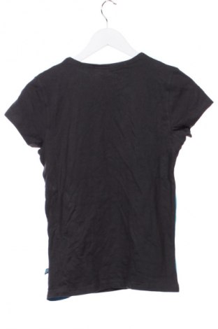 Dziecięcy T-shirt Rodeo, Rozmiar 15-18y/ 170-176 cm, Kolor Kolorowy, Cena 26,99 zł