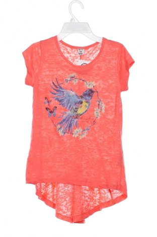 Kinder T-Shirt Y.F.K., Größe 10-11y/ 146-152 cm, Farbe Mehrfarbig, Preis 6,00 €