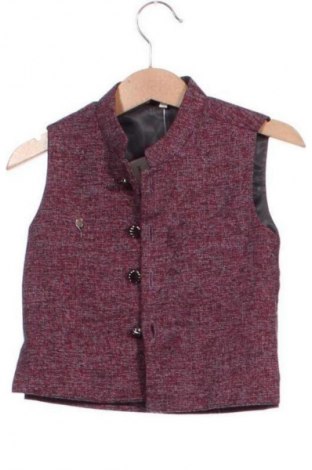 Dětská vesta  Unbranded, Velikost 18-24m/ 86-98 cm, Barva Vícebarevné, Cena  307,00 Kč