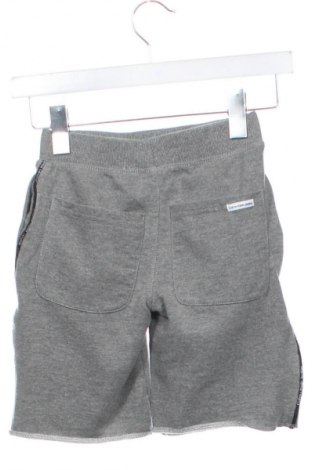 Dziecięce szorty Calvin Klein Jeans, Rozmiar 6-7y/ 122-128 cm, Kolor Szary, Cena 94,25 zł