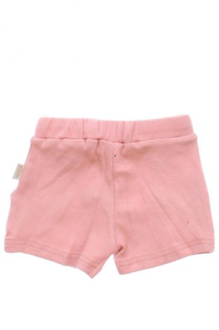 Kinder Shorts Petit Piao, Größe 1-2m/ 50-56 cm, Farbe Rosa, Preis € 41,99