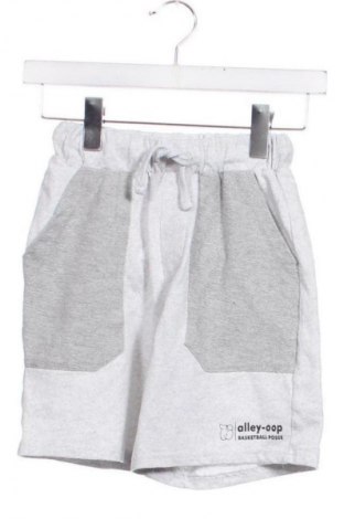 Dětské krátké kalhoty  Sinsay, Velikost 8-9y/ 134-140 cm, Barva Šedá, Cena  203,00 Kč