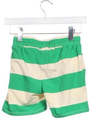 Pantaloni scurți pentru copii The New, Mărime 7-8y/ 128-134 cm, Culoare Multicolor, Preț 126,99 Lei