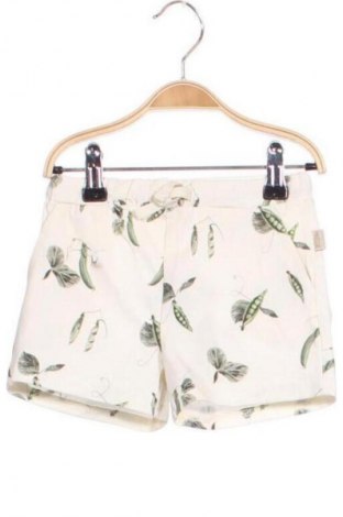 Детски къс панталон Petit Piao, Размер 18-24m/ 86-98 см, Цвят Многоцветен, Цена 62,99 лв.